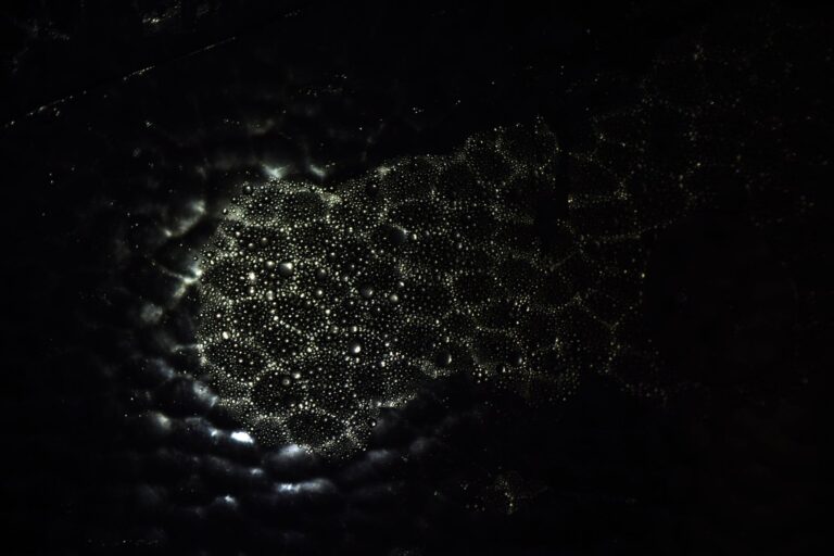 dark pattern