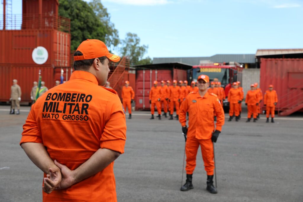 intencao busca