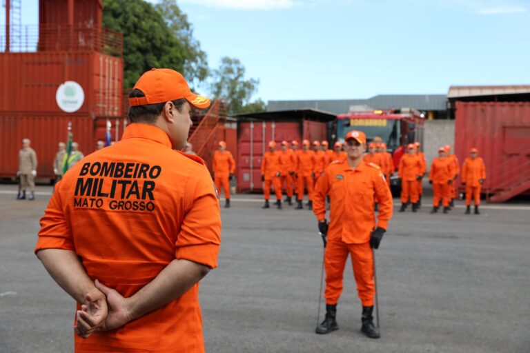 intencao busca