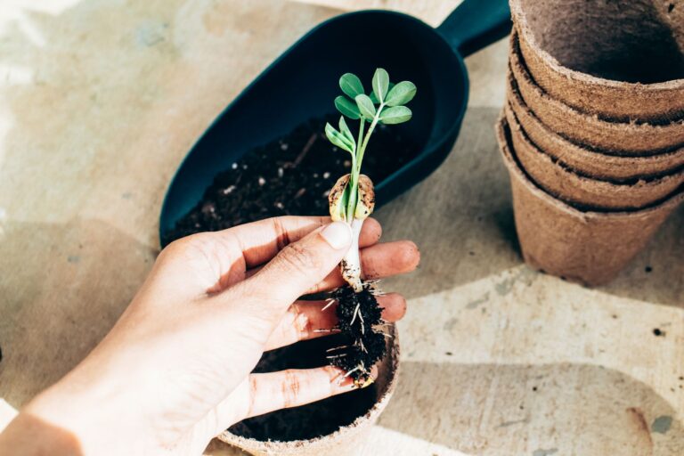 nutricao leads lead nurturing