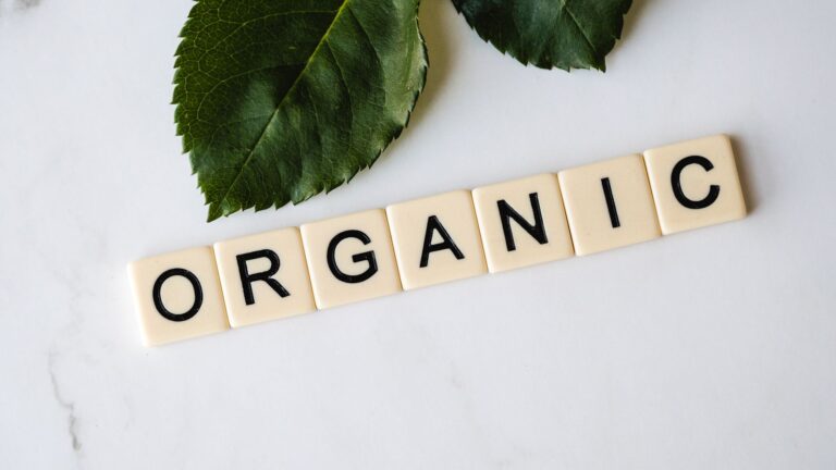trafego organico